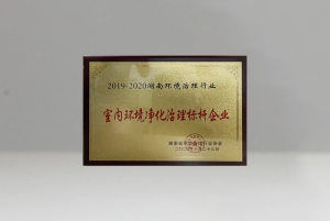 廣西環(huán)境治理標桿企業(yè)